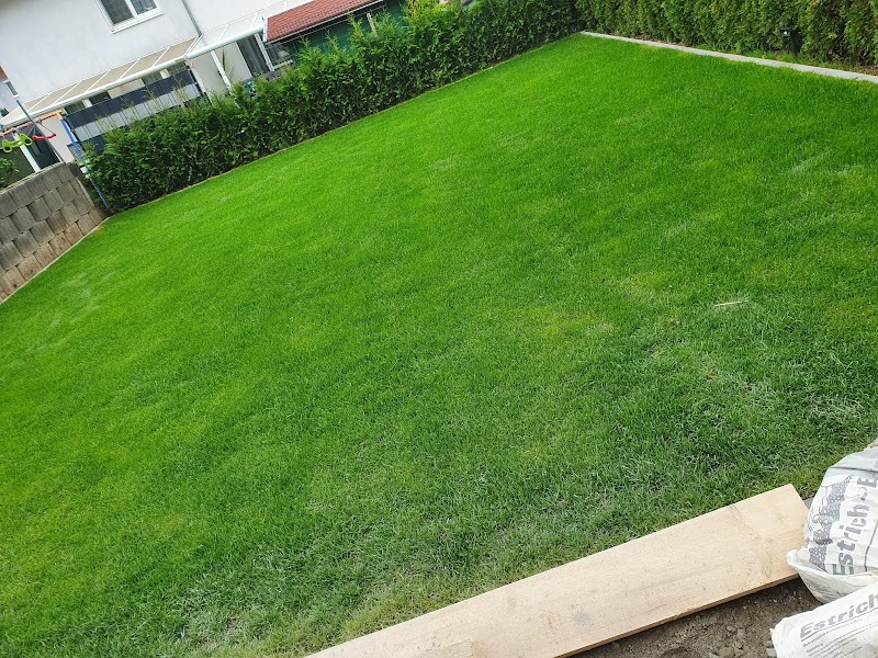 Präzise Natursteinarbeiten für Mauern und Wege